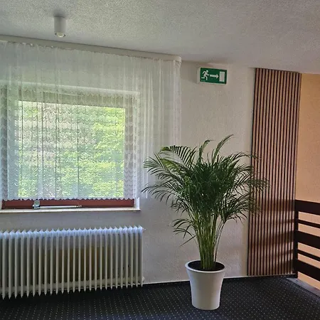 Damhirsch מלון 3*