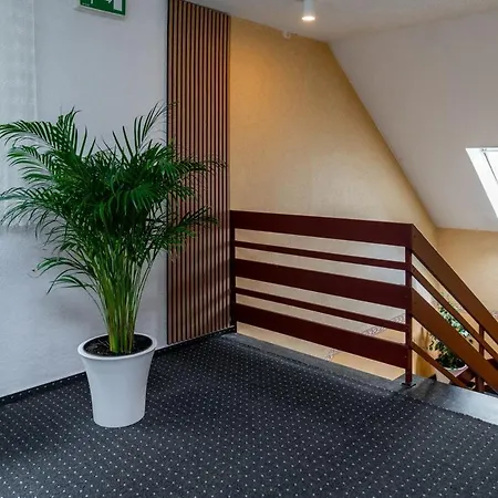 Damhirsch Neustadt am Rübenberge