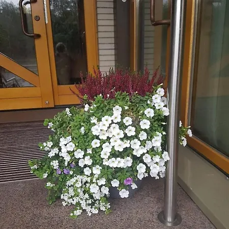 Damhirsch Otel